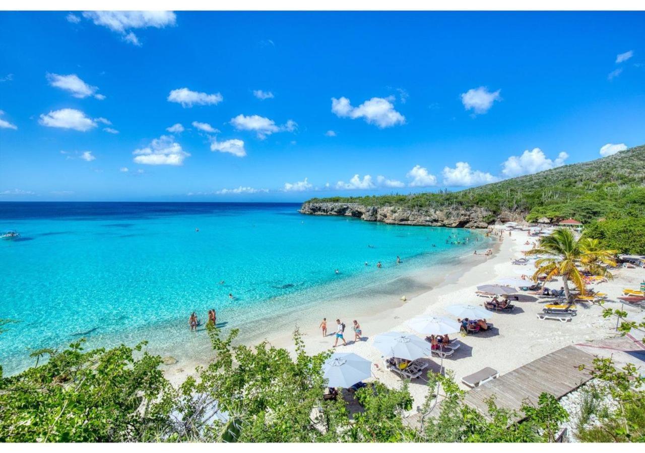 Piscadera Bay Resort 24 威廉斯塔德 外观 照片