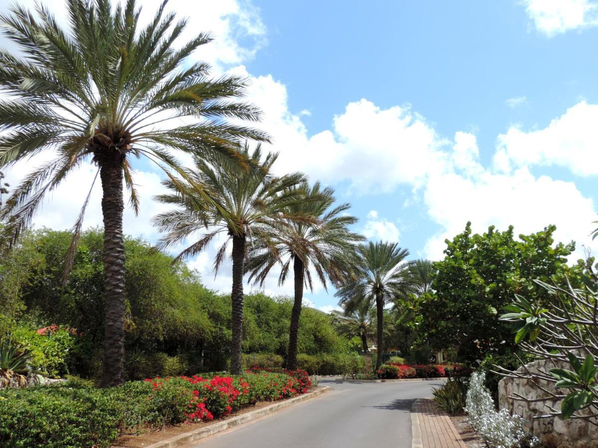 Piscadera Bay Resort 24 威廉斯塔德 外观 照片